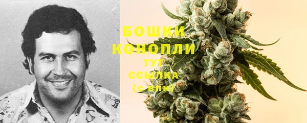 гашик Абаза